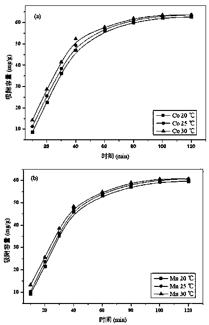 A kind of ion exchanger based on modified resin and preparation method thereof