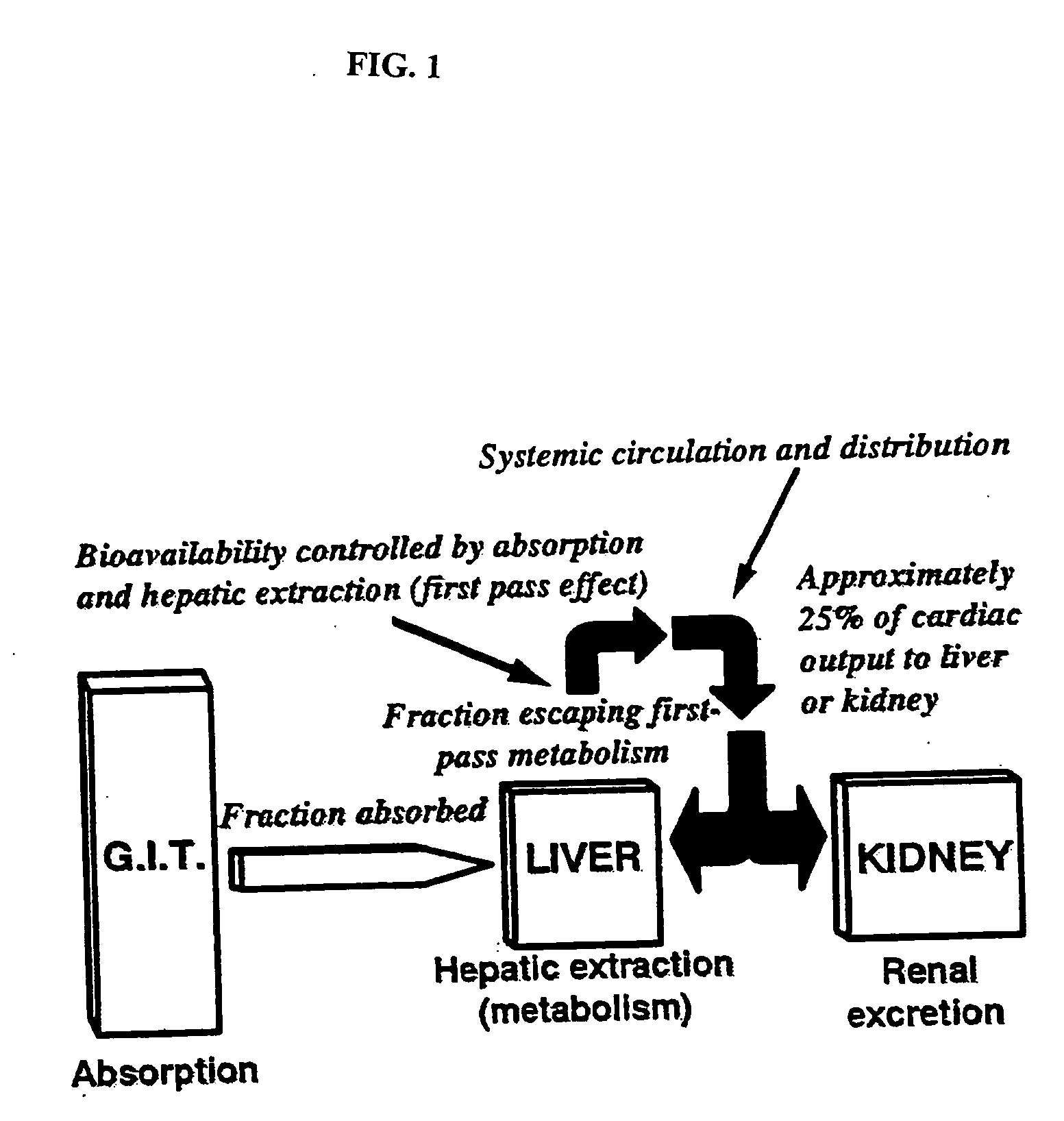 Method of increasing drug oral bioavailability and compositions of less toxic orotate salts