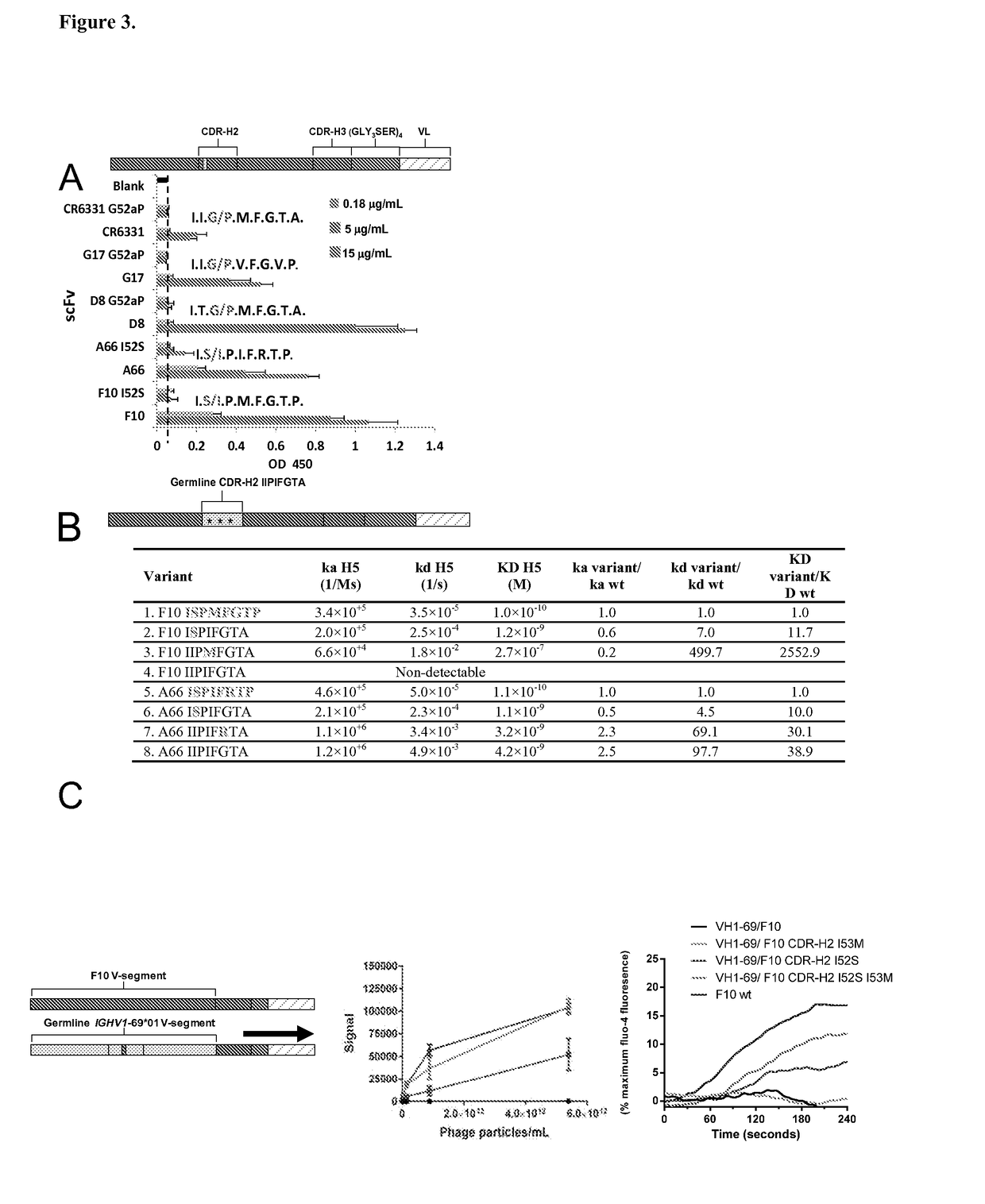 Immunogenetic restriction on elicitation of antibodies