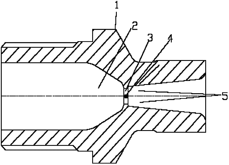 Hot nozzle core structure special for white pigment