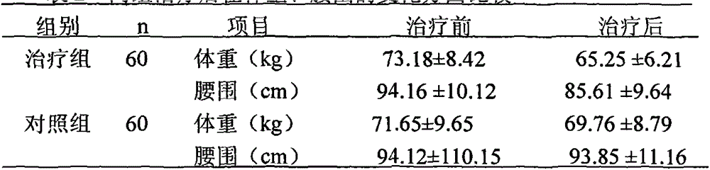 Chinese herbal external-application agent for treating obesity