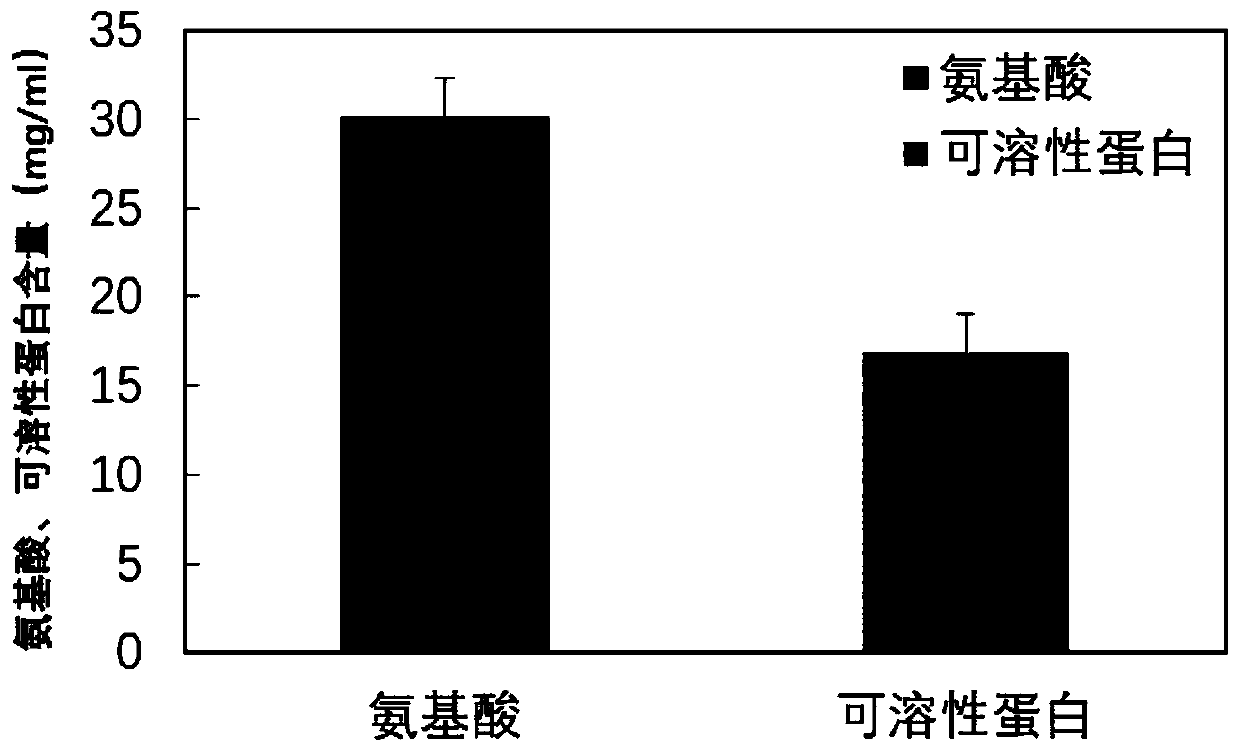 Amino acid polypeptide water-soluble fertilizer and preparation method thereof