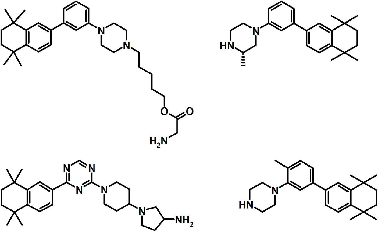 Sphingosine kinase inhibitors