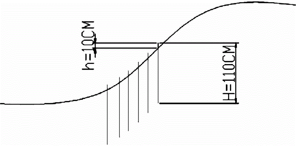 A method for afforestation of Salix salix cuttings