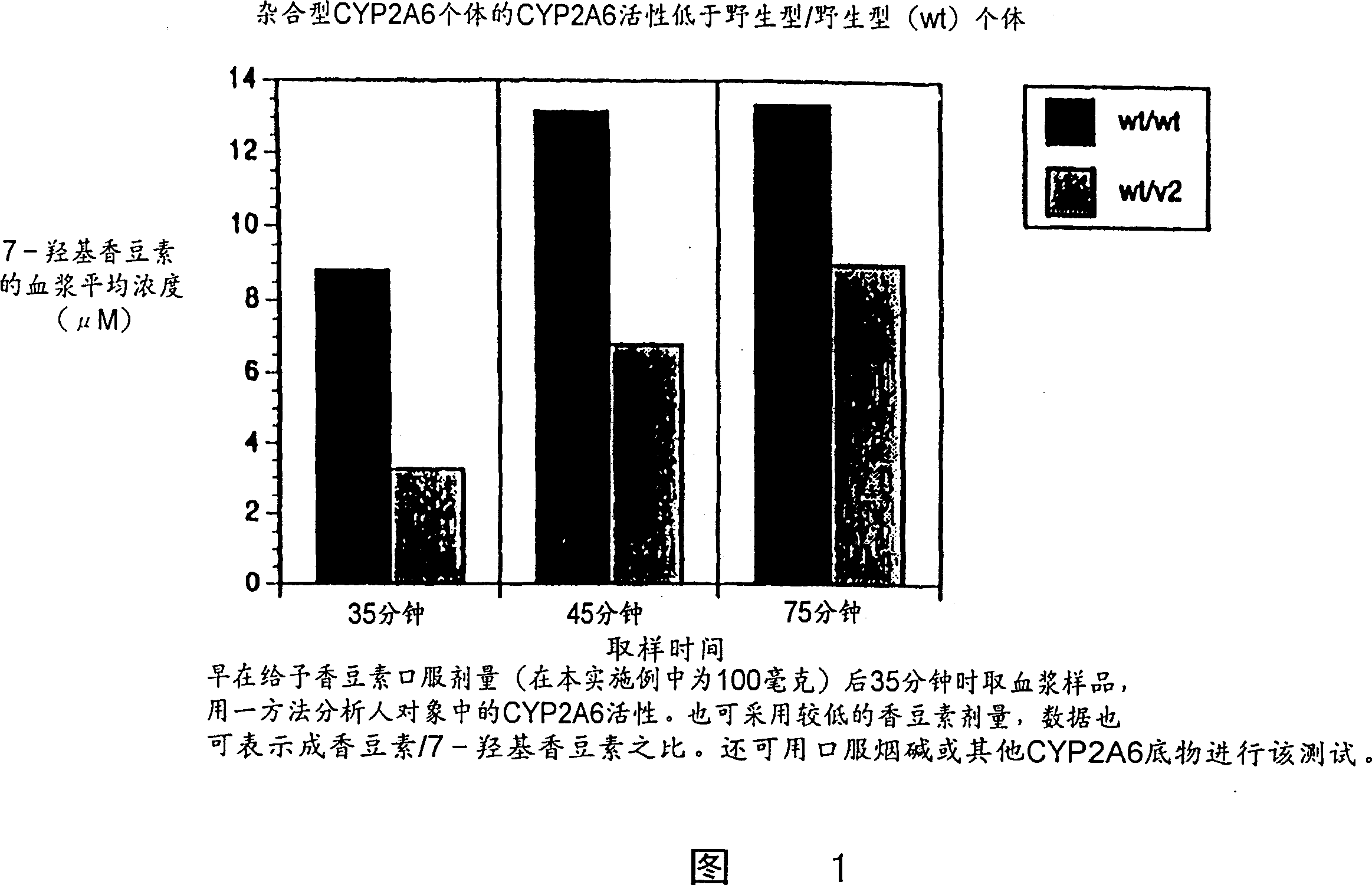 CYP2A enzymes and their use in therapeutic and diagnostic method
