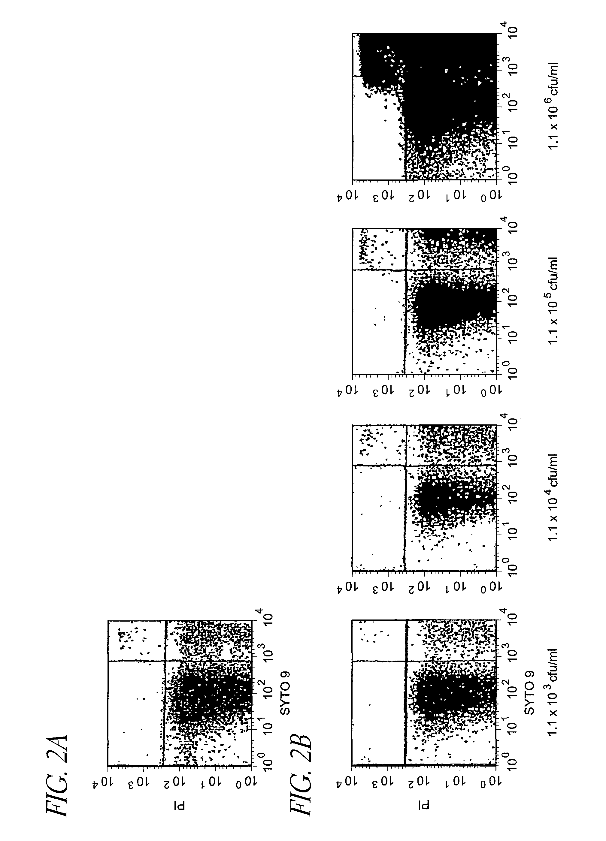 Method for detection of microorganism and kit for detection of microorganism