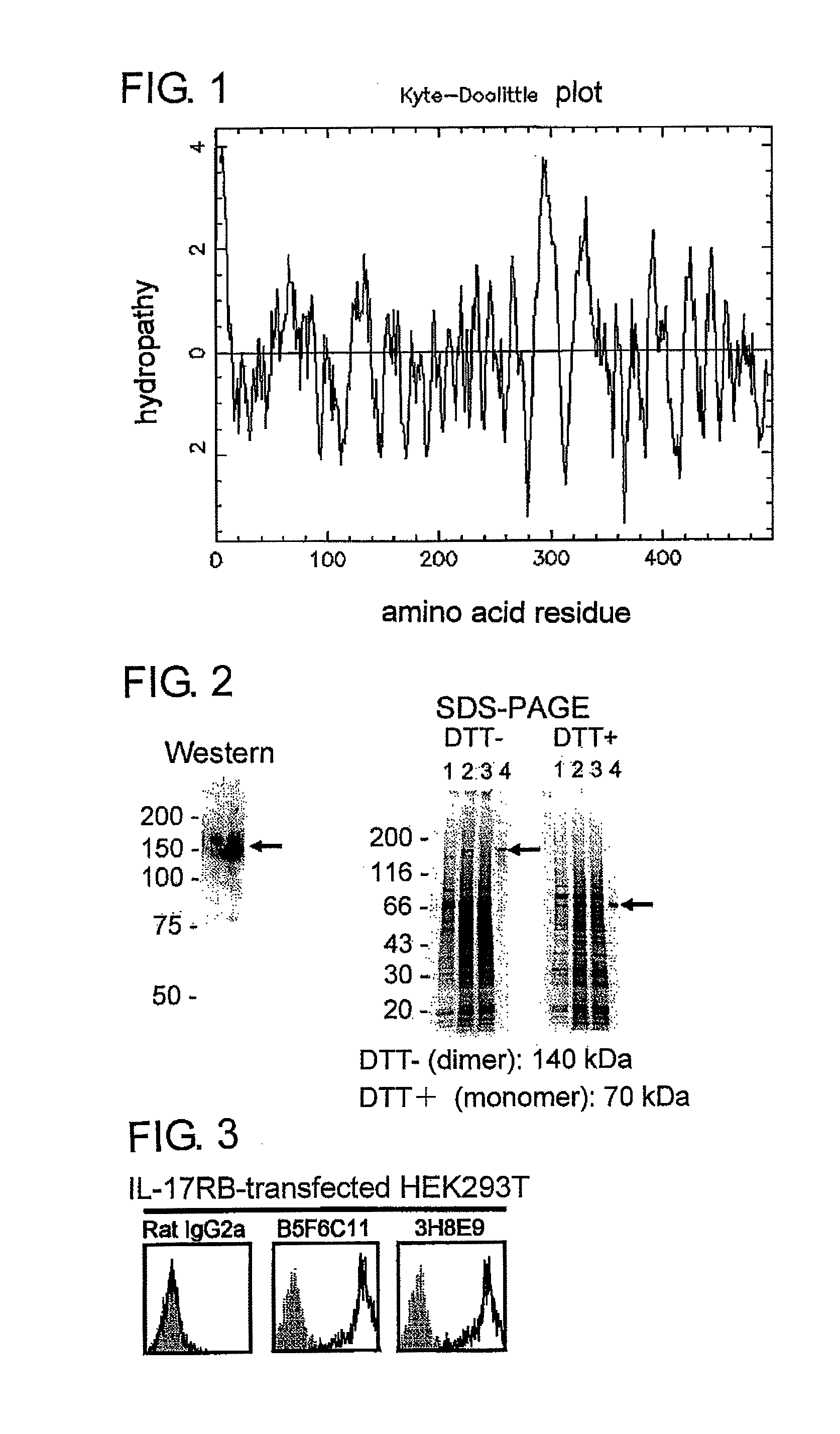 Methods for treating allergic airway inflammation, airway hypersensitivity, and eosinophilia