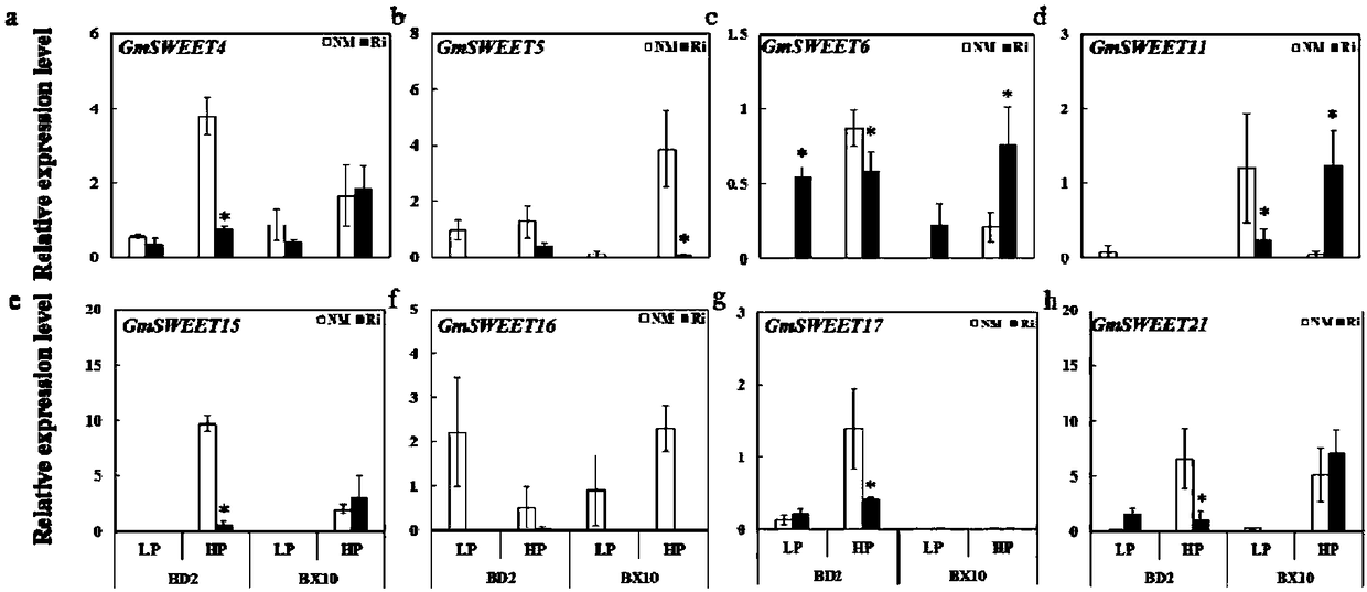 Application of important gene GmSWEET6 of soybean sucrose transporter