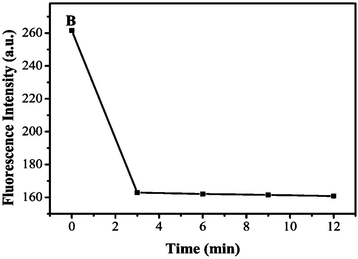 Rapid detection method for aflatoxin B1