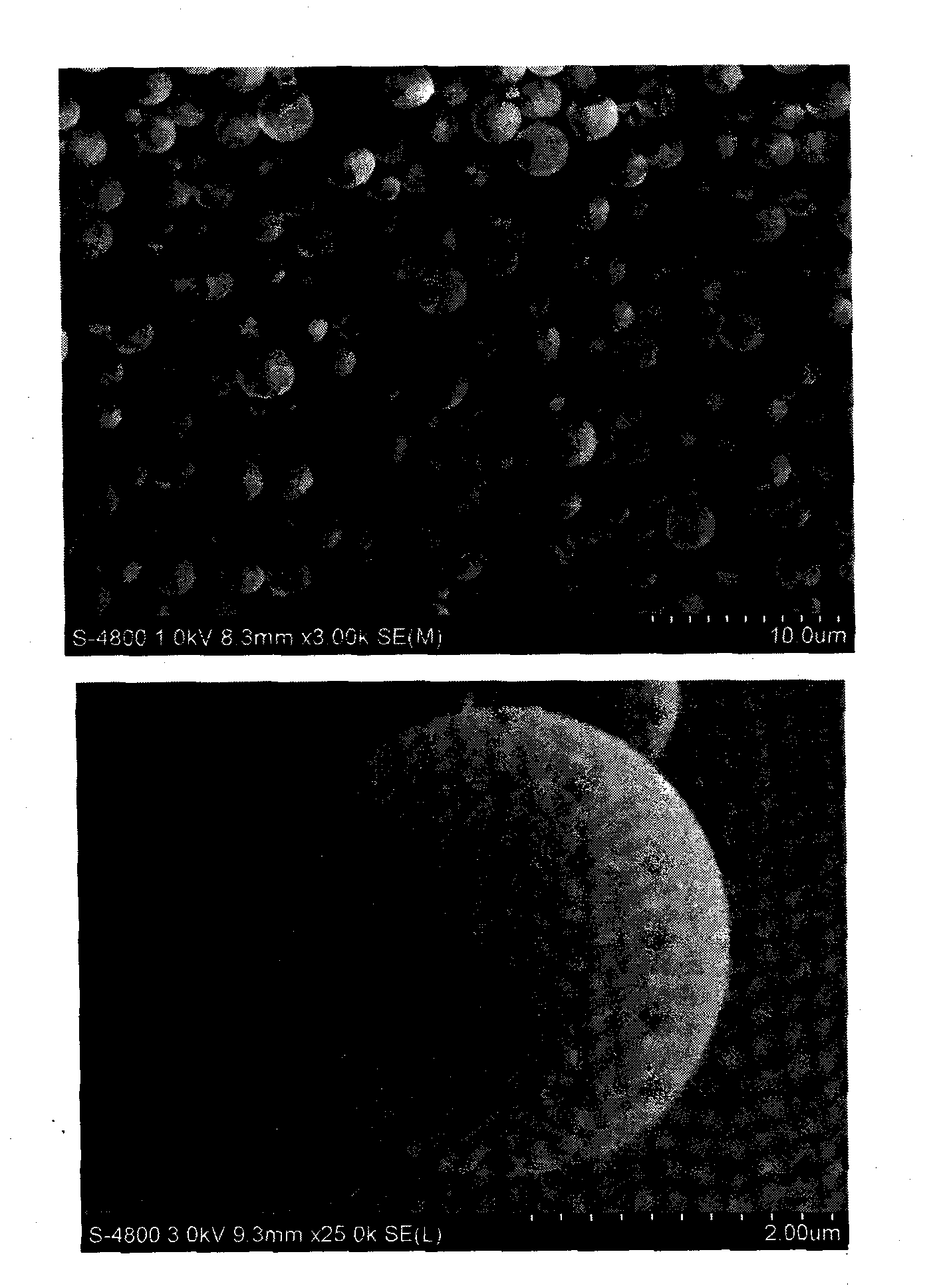 Flavone-metal complex microsphere and preparation method and application thereof