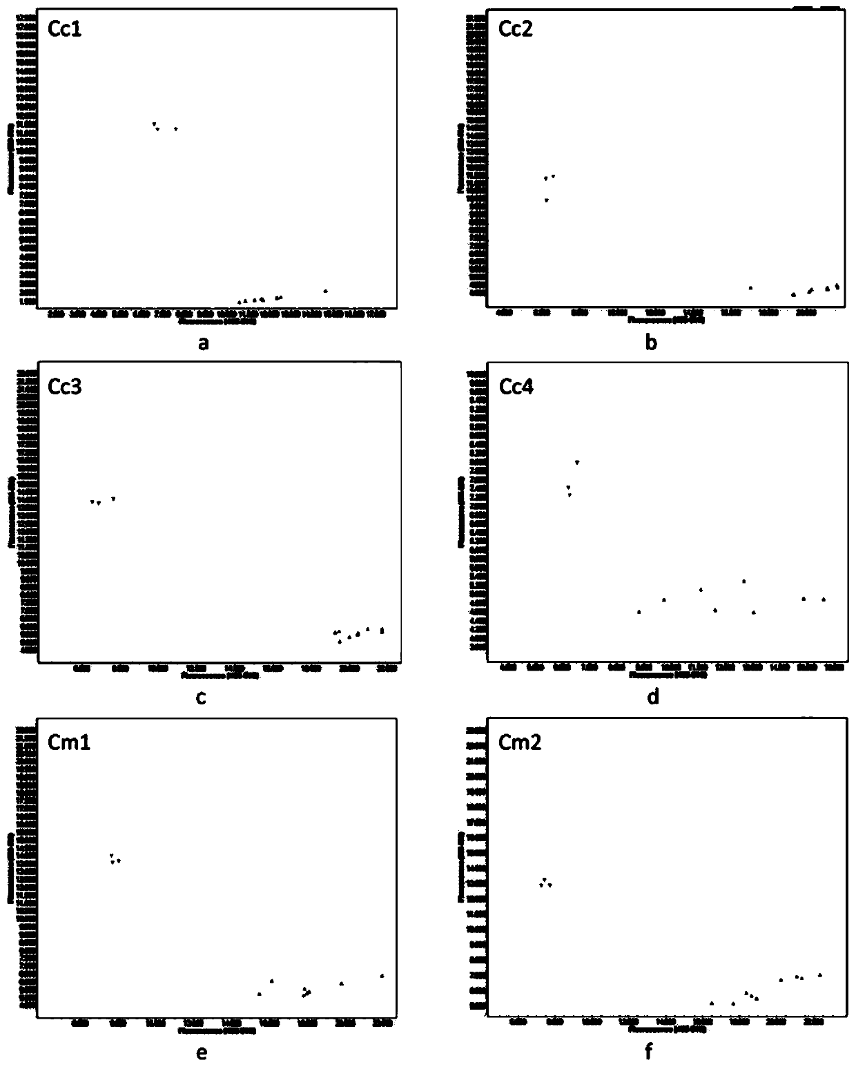 KASP marker primer for authenticating types of cytoplasts Cam and Pol of brassica crops and application of KASP marker primer