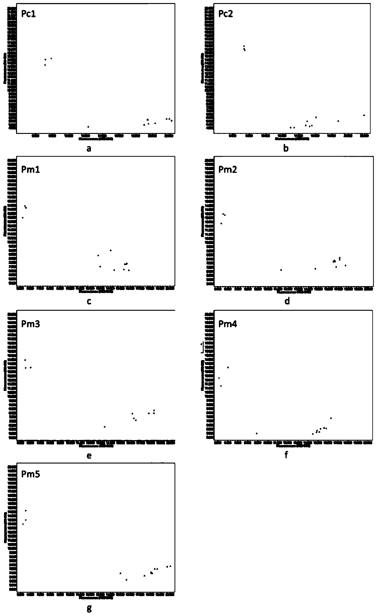 KASP marker primer for authenticating types of cytoplasts Cam and Pol of brassica crops and application of KASP marker primer