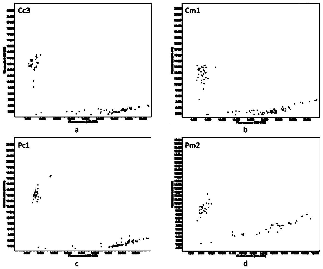 KASP marker primer for authenticating types of cytoplasts Cam and Pol of brassica crops and application of KASP marker primer