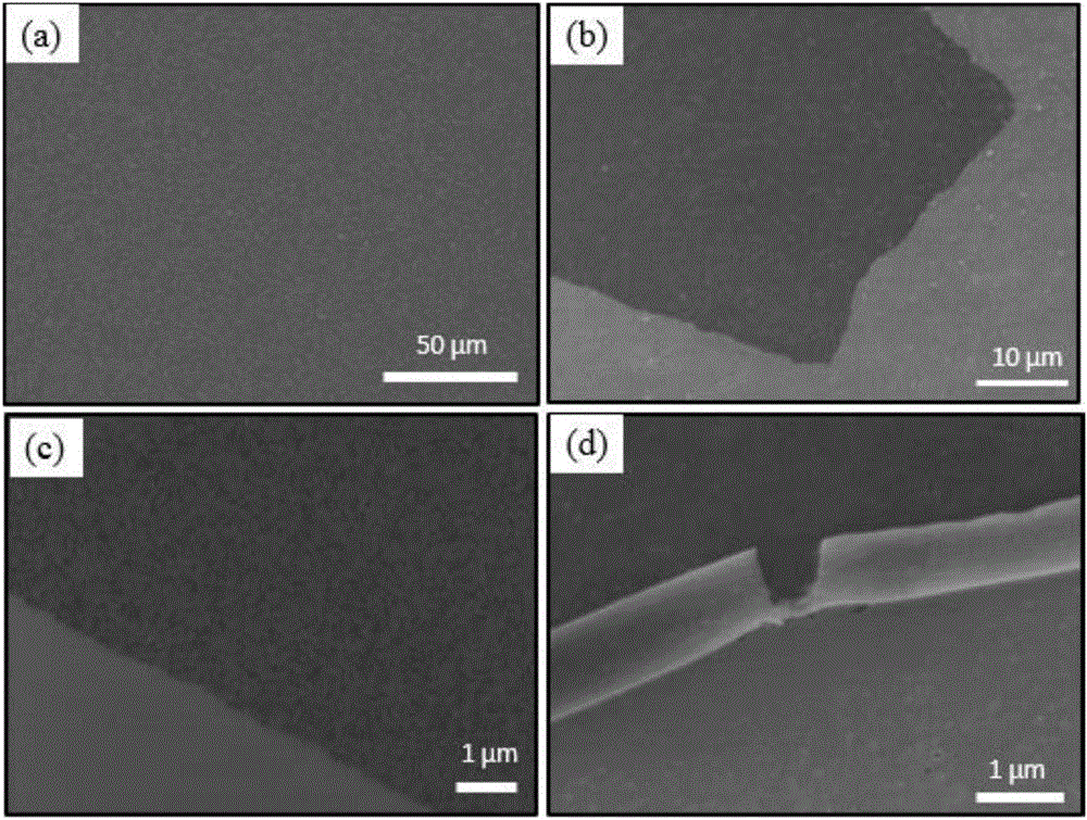 Beta-graphite diyne nano-film as well as preparation method and application thereof