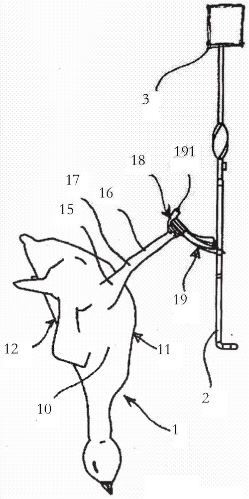 Method of suspending a bird from a hook and device for suspending a bird