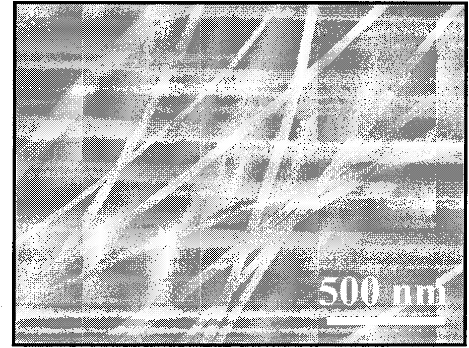 Controllable doping method for Si3N4 single-crystal low-dimension nano material