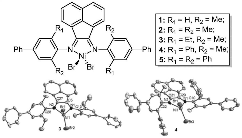 Application of a para-phenyl-containing α-diimine nickel (ii) complex in catalyzing the chain walking polymerization of 3-heptene