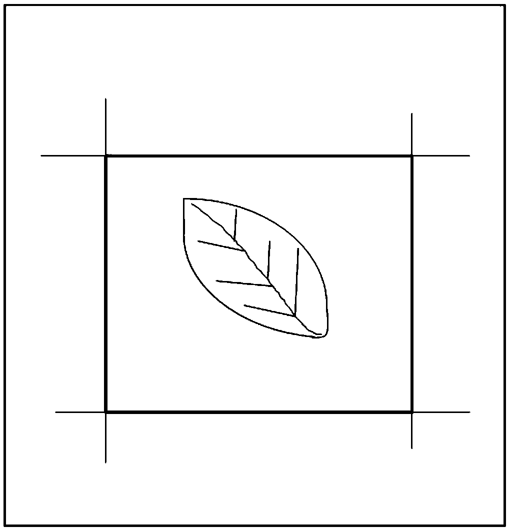 A method and a system for measuring plant leaf area based on color calibration