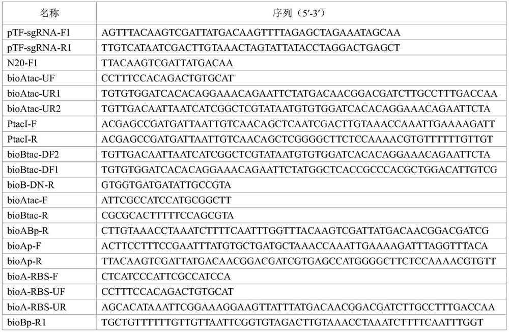 Genetically engineered bacterium for producing L-threonine as well as construction method and application of genetically engineered bacterium
