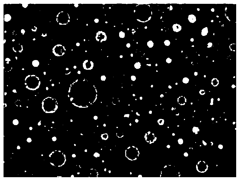 Emulsifying system and application, active composition and application, cosmetic and preparation method