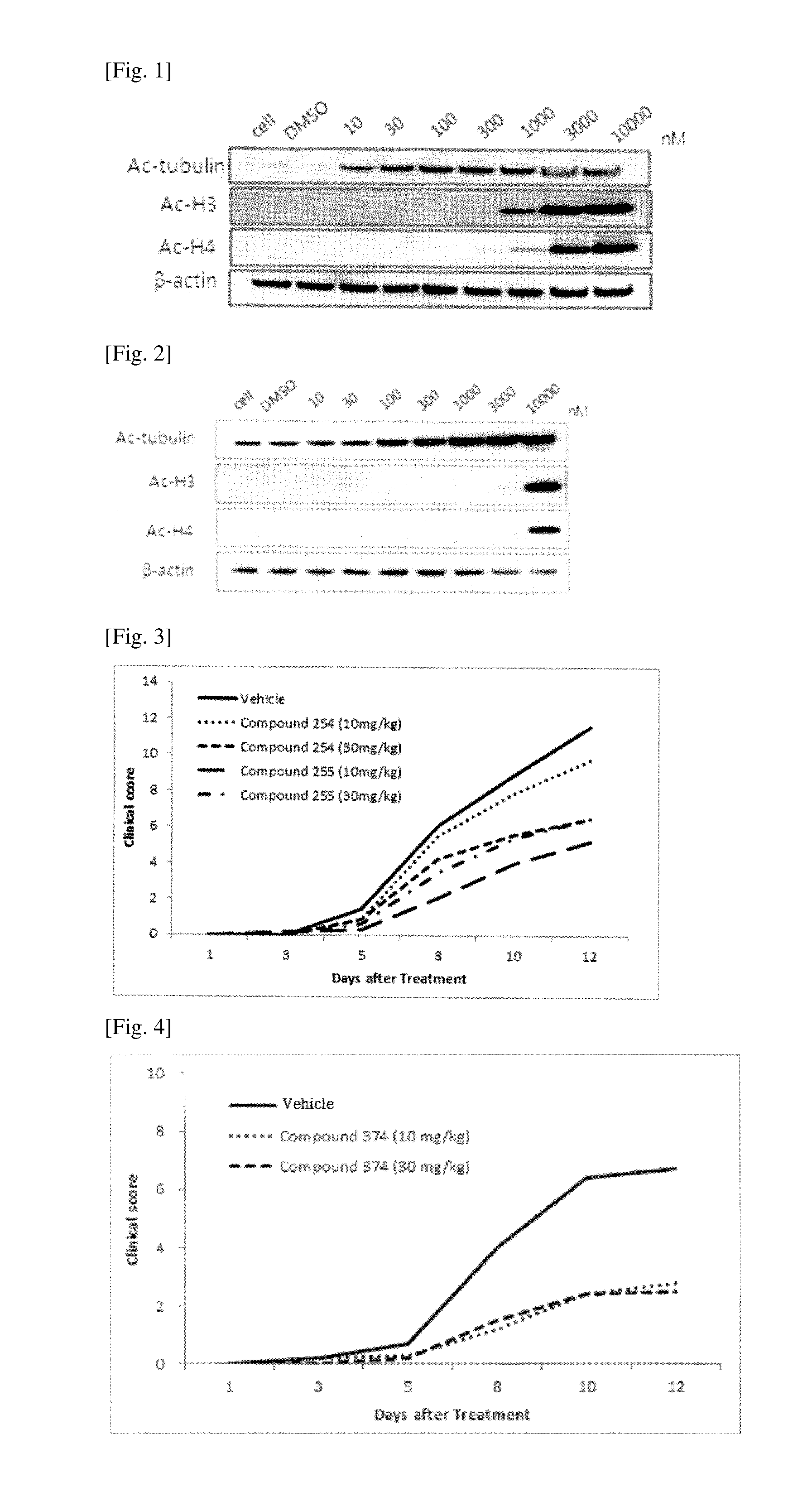 Novel compounds for selective histone deacetylase inhibitors, and pharmaceutical composition comprising the same