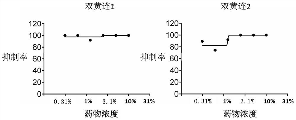 Application of Shuanghuanglian preparation in virus infection resistance
