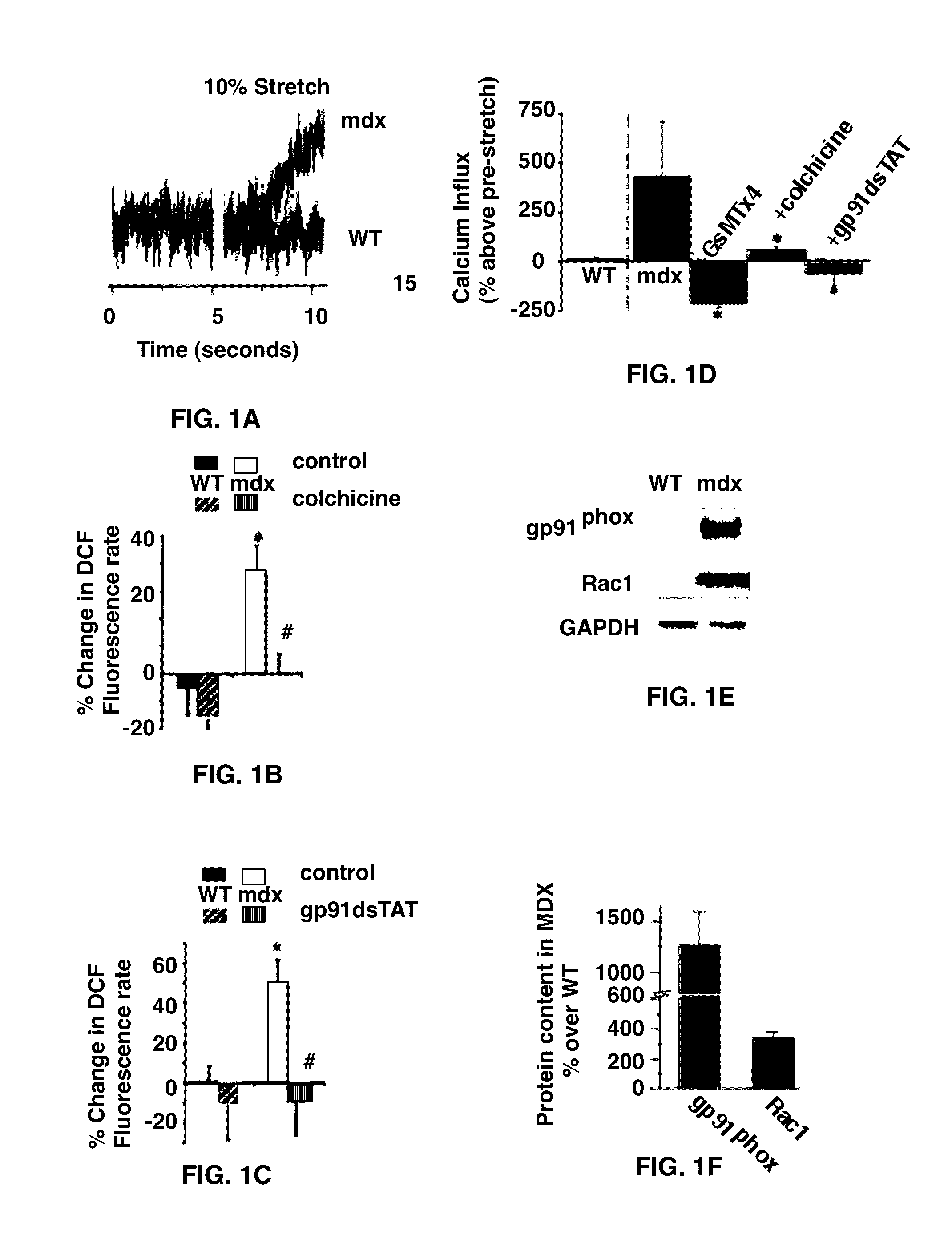 Treatment of muscular conditions and muscular dystrophies