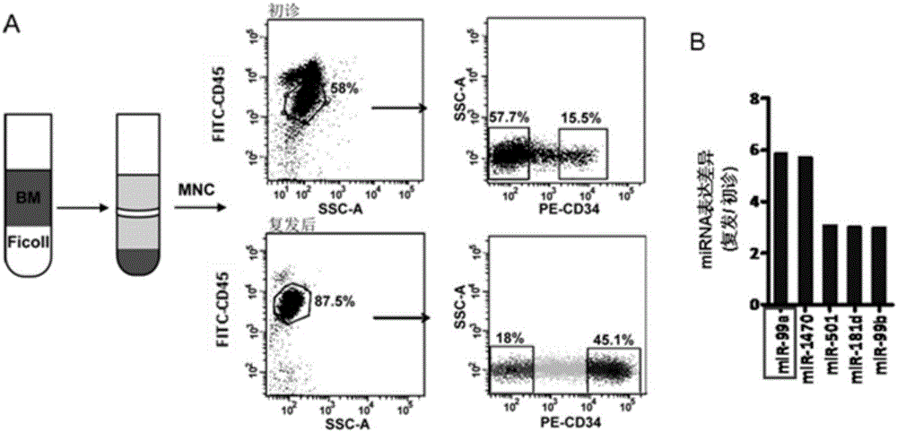 Application of miR-99a as acute myelogenous leukemia stem cell molecular marker