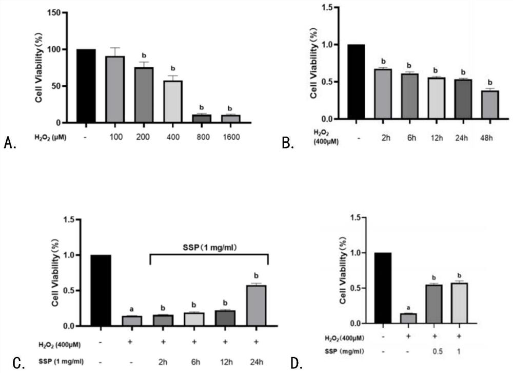 New application of sagittaria sagittifolia extract, composition for delaying lens opacity and preparation method of composition