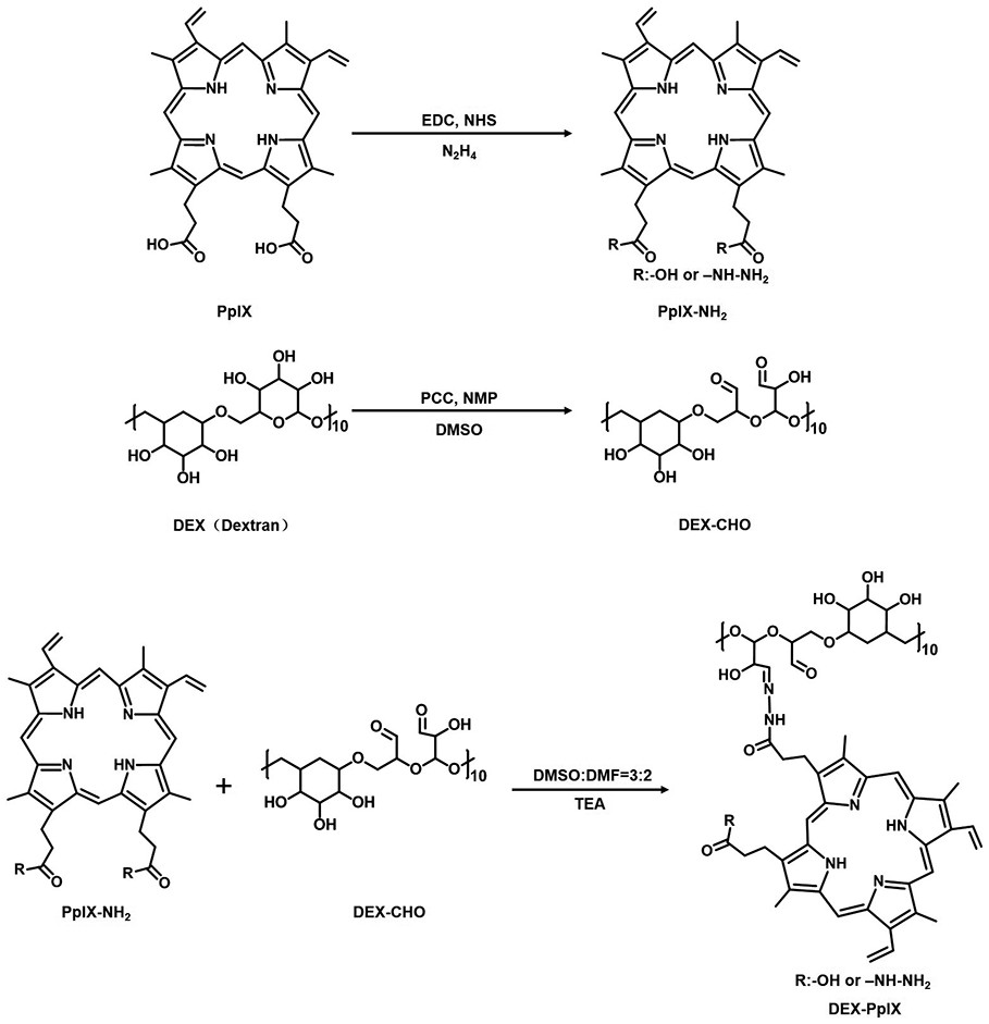 Preparation and application of a dextran-protoporphyrin prodrug nanomicelle