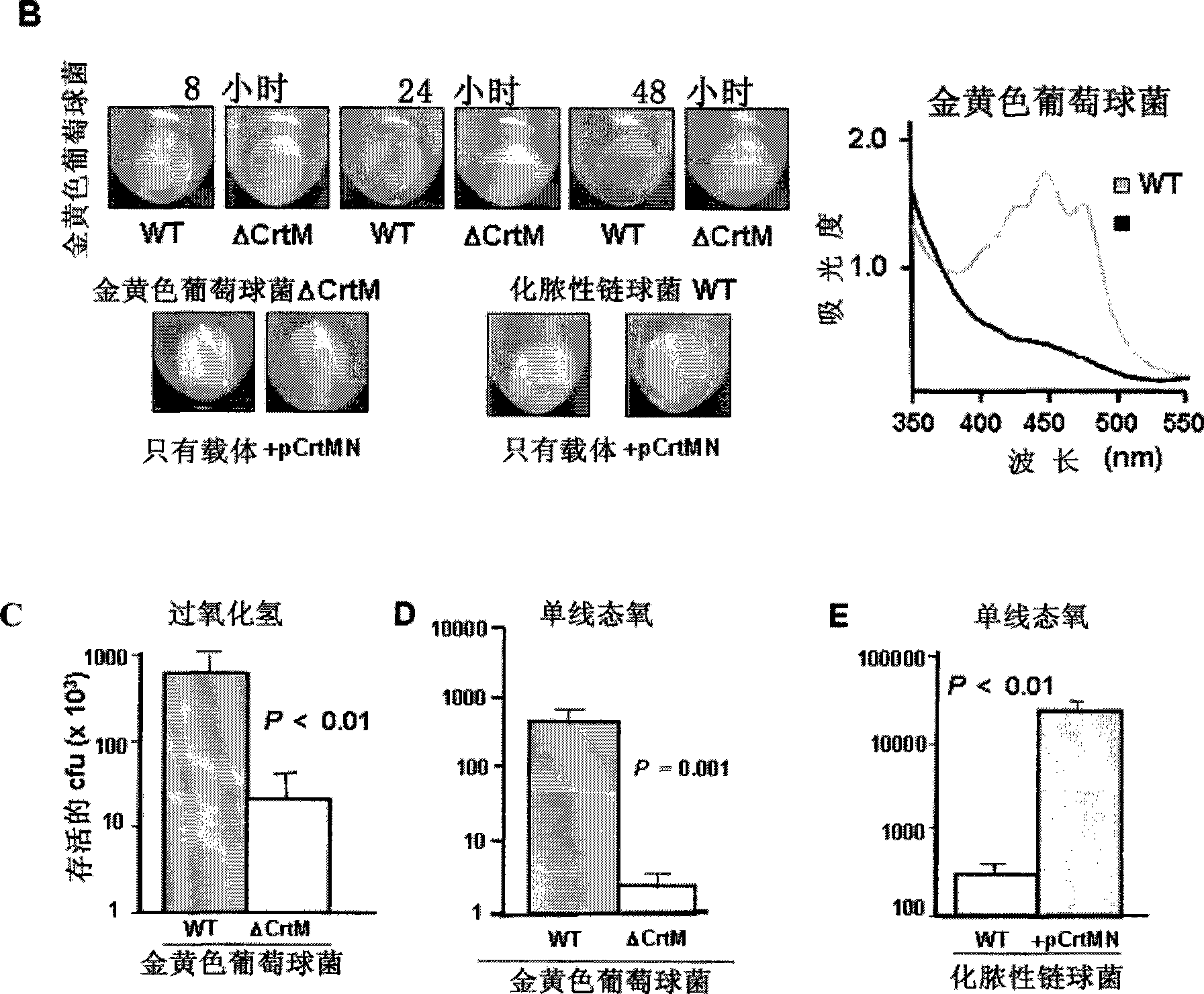 Compound for antimicrobial therapy for bacterial infections and its pharmaceutical uses