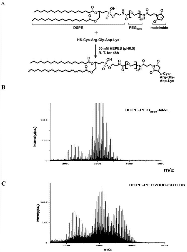 Salinomycin-loaded micelle as well as preparation method and application thereof