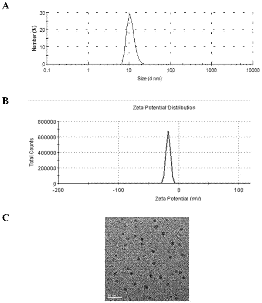 Salinomycin-loaded micelle as well as preparation method and application thereof