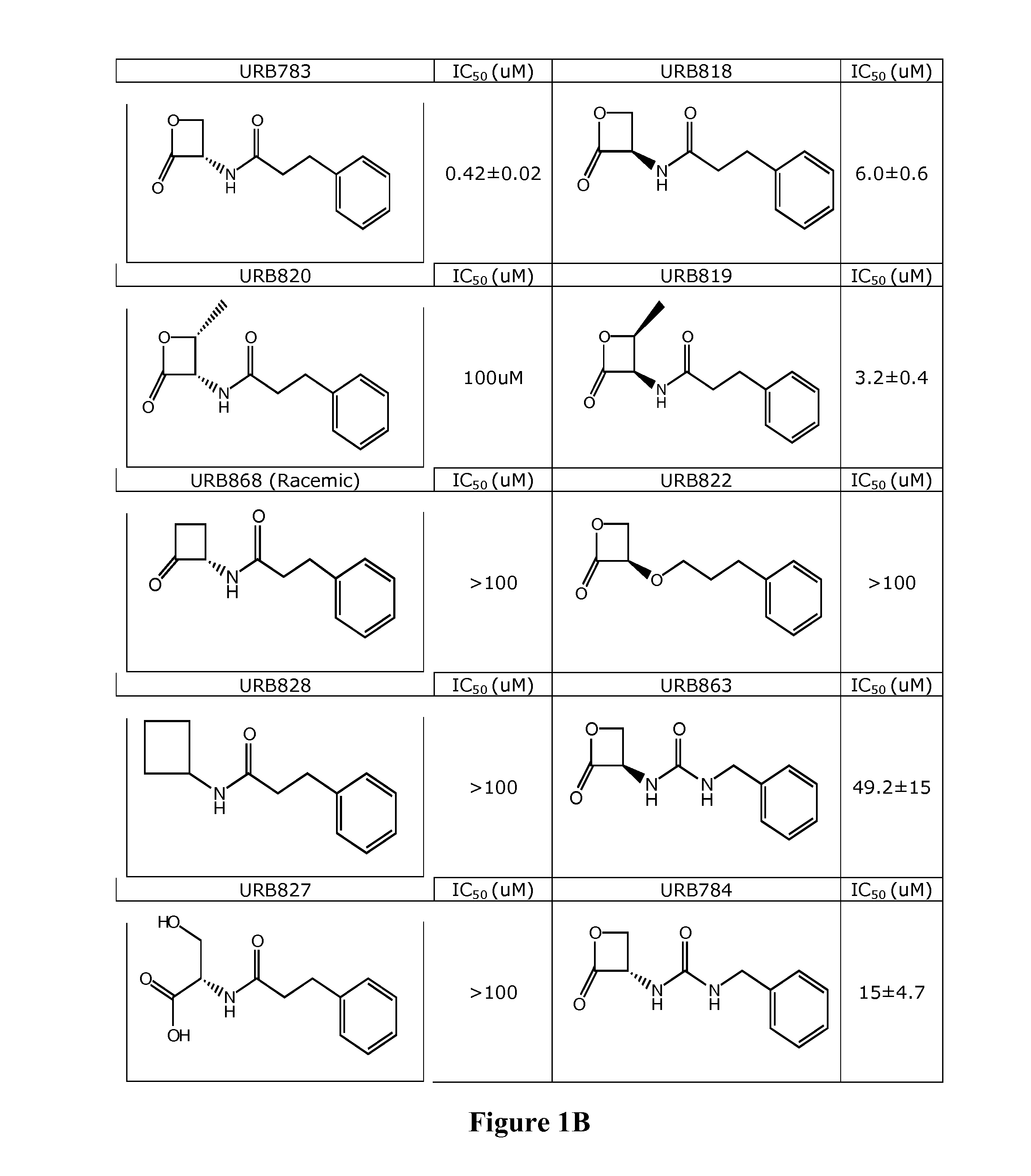 Inhibitors of NAAA and Methods Thereof