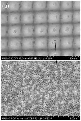 A kind of surface micro-nano structure modification method of titanium and titanium alloy