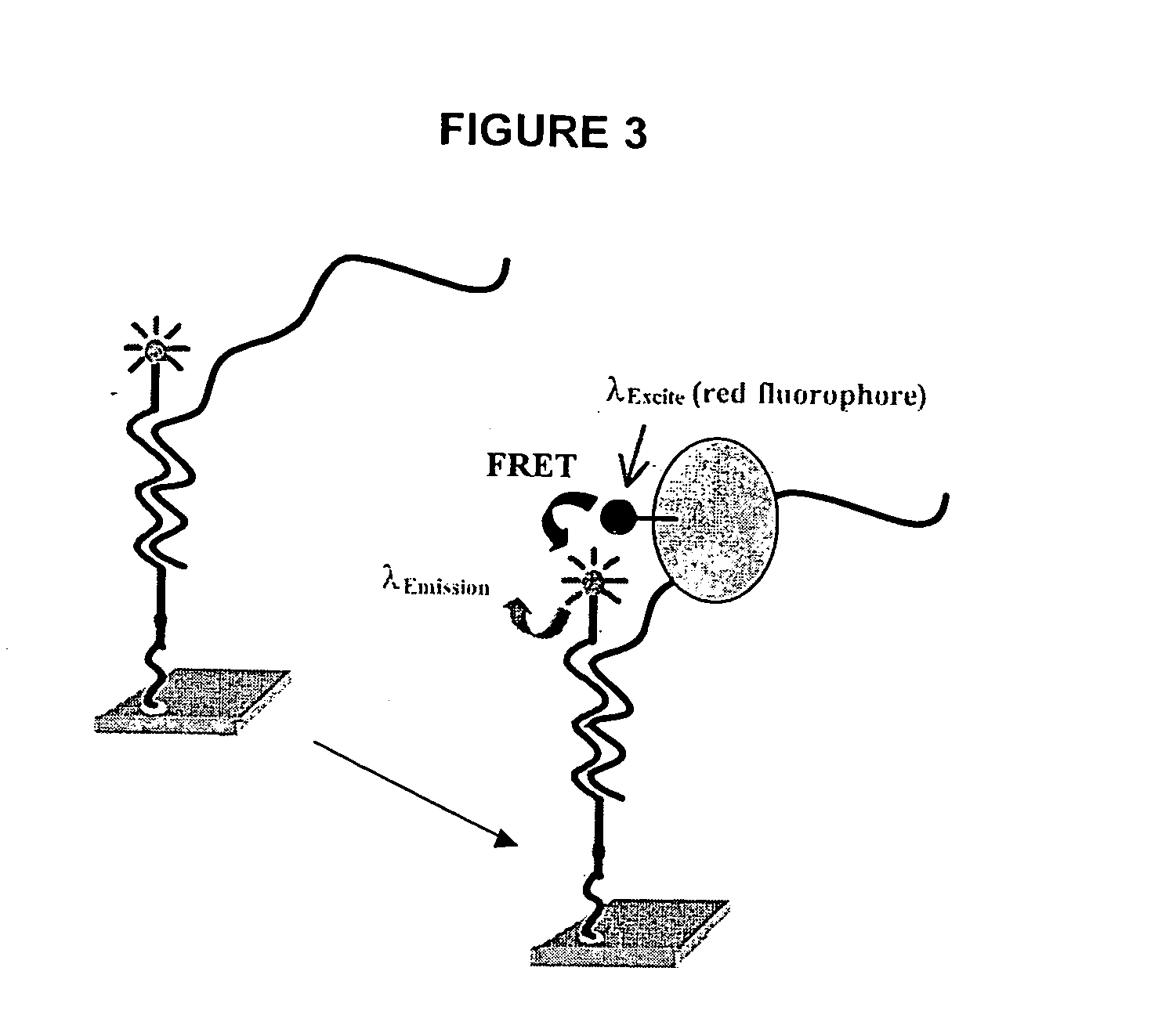 Methods and compositions for high throughput identification of protein/nucleic acid binding pairs