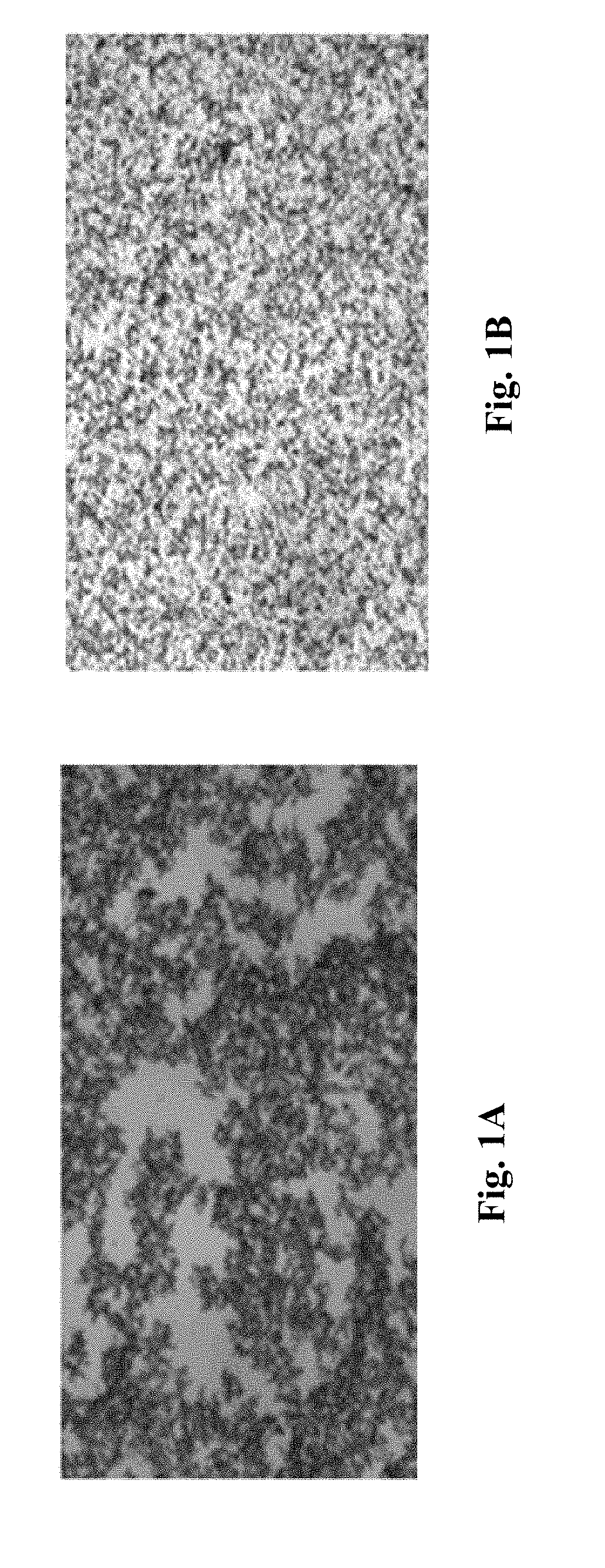 Electrode Slurries Containing Halogenated Graphene Nanoplatelets, and Production and Uses Thereof