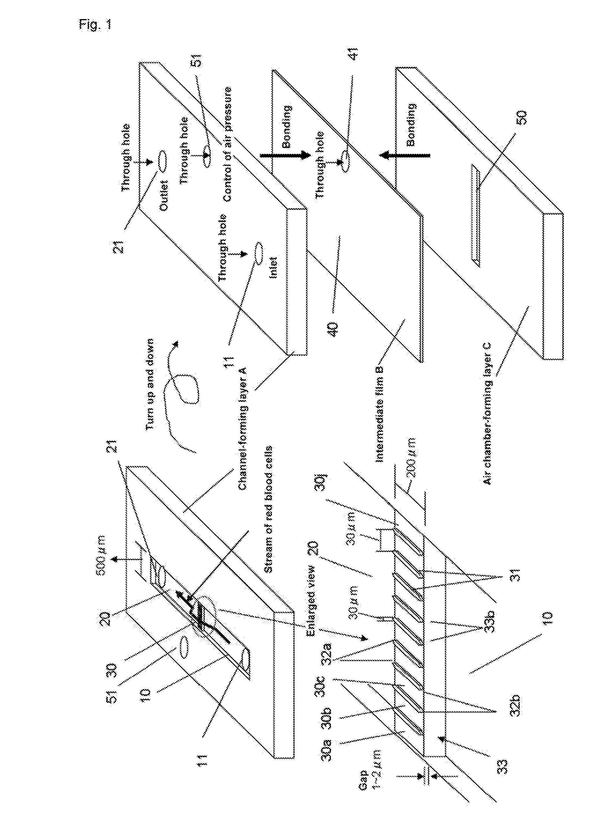 Recovering nucleated red blood cells and method for concentrating and recovering nucleated red blood cells