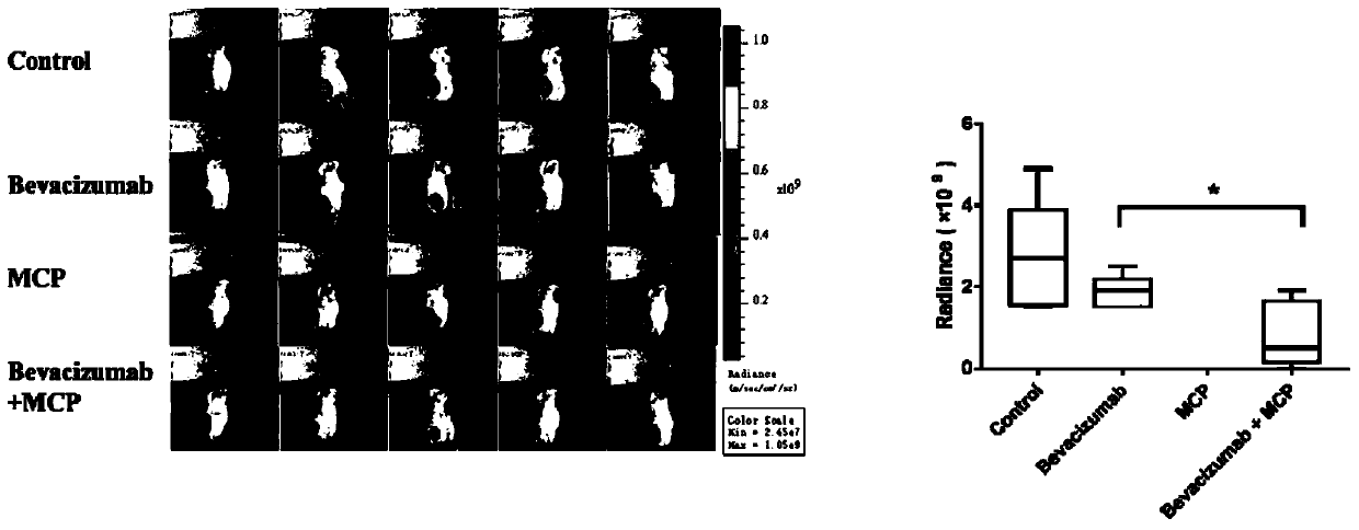 Application of small molecular citrus pectin in tumor treatment