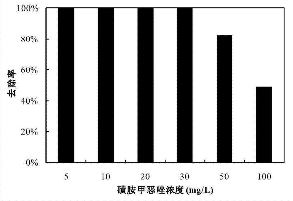 Method for removing sulfamethoxazole in water body by using modified bamboo charcoal