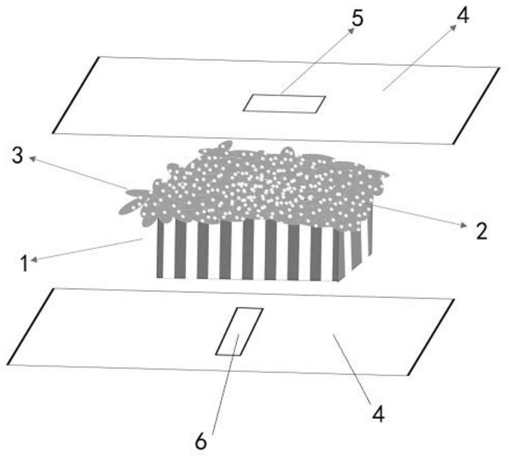 A copper ion detection method based on quantum dot-nanochannel