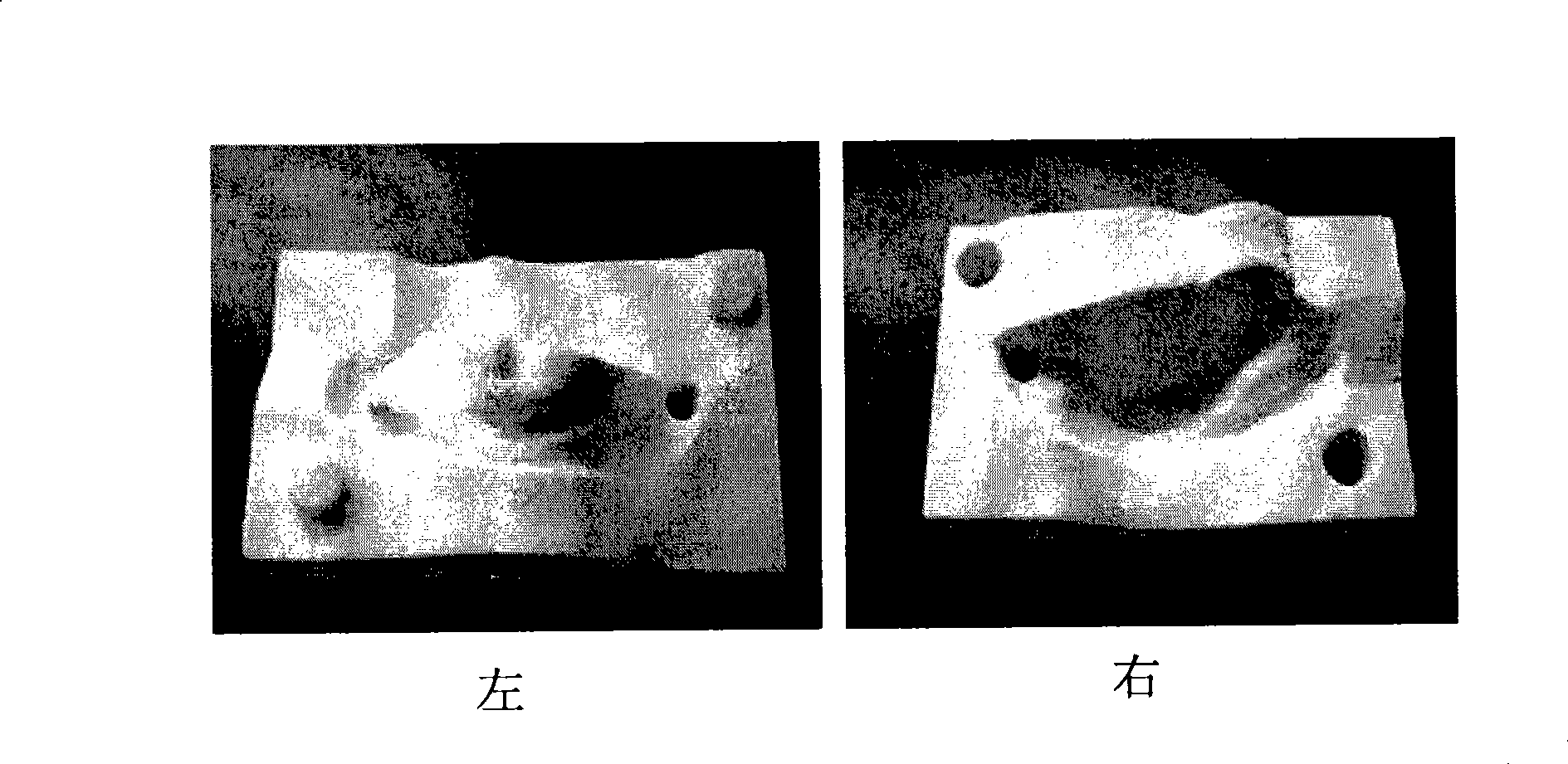 Special shape tissue engineering bracket and construction method and use thereof