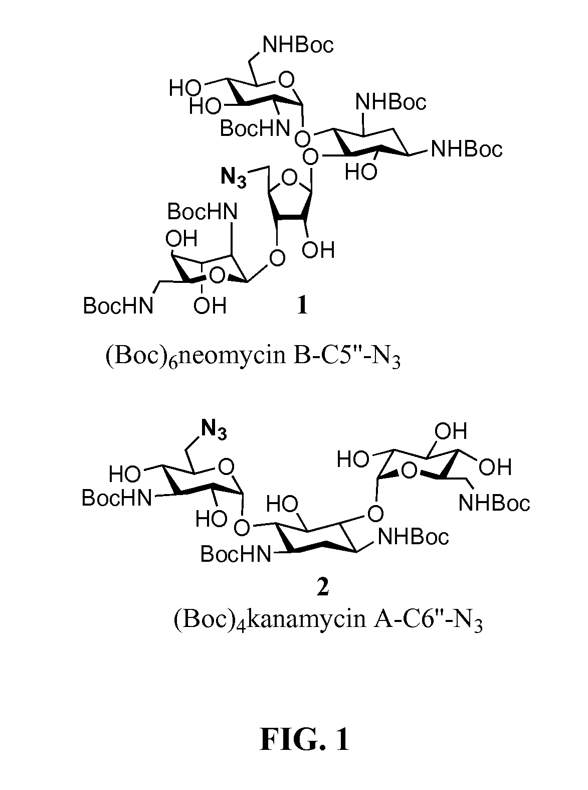 Triazole-based aminoglycoside-peptide conjugates and methods of use