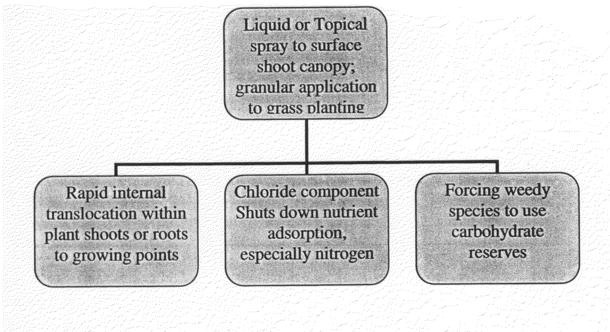 Methods for controlling bermudagrass, bermudagrass hybrids and other weedy monocot and dicot species