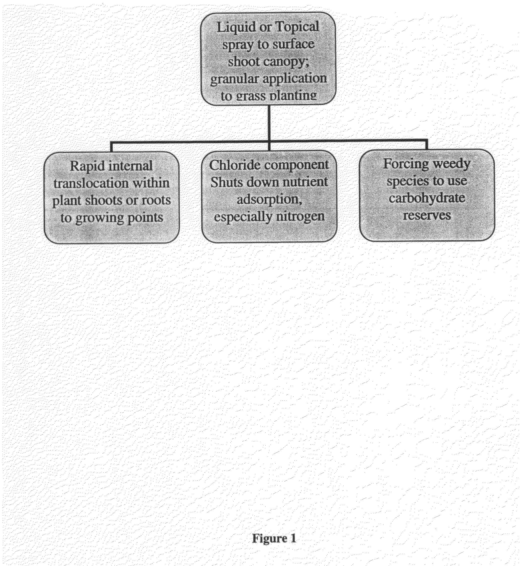 Methods for controlling bermudagrass, bermudagrass hybrids and other weedy monocot and dicot species