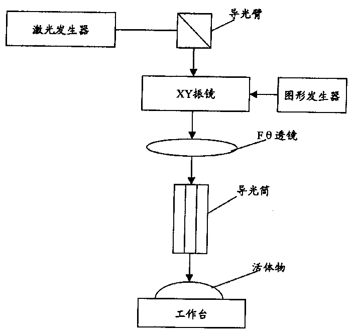 Method for marking on intravital crusta of animals by laser and its equipment