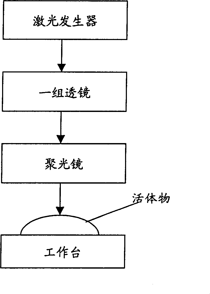 Method for marking on intravital crusta of animals by laser and its equipment