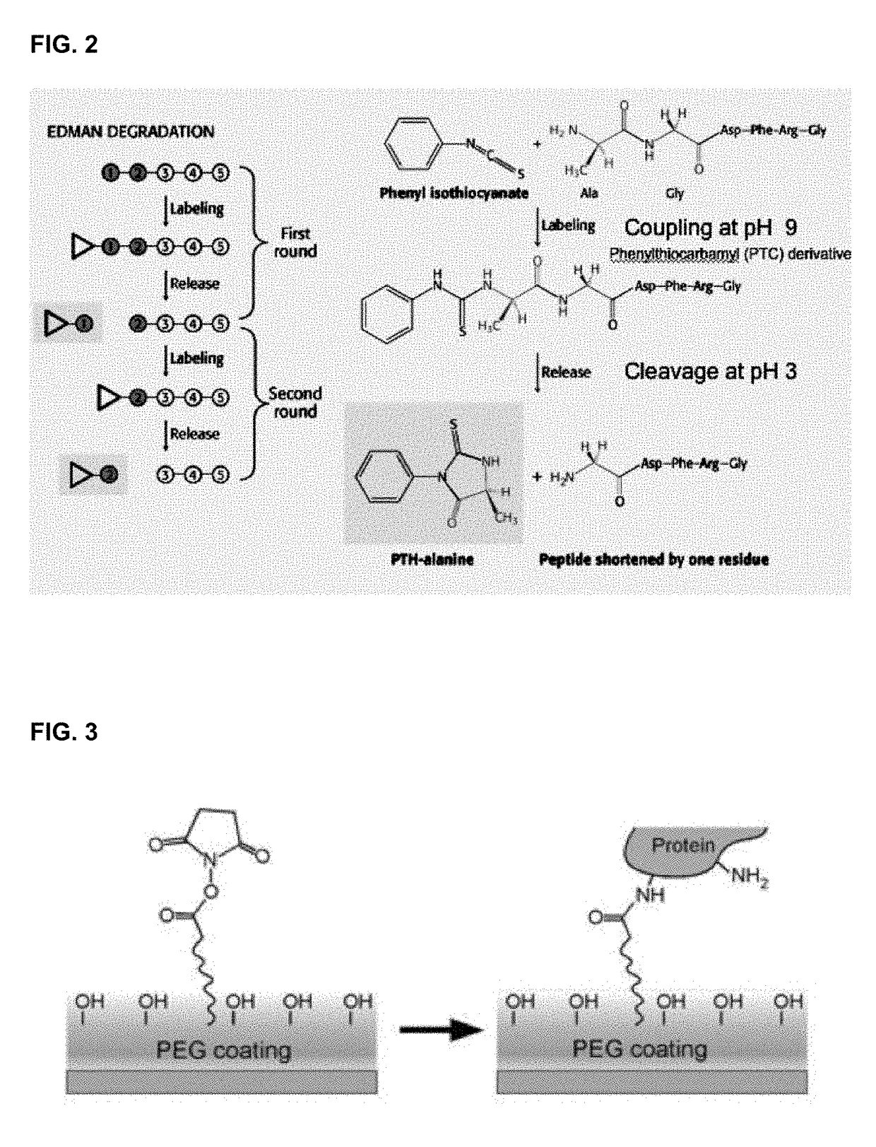 Protein sequencing method and reagents