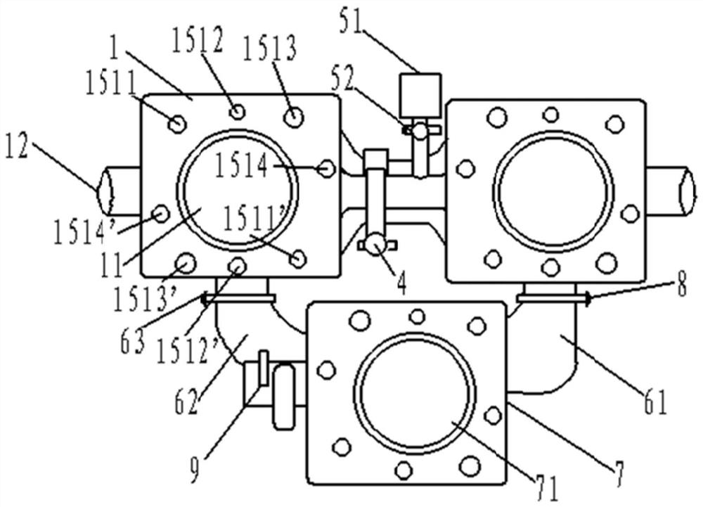 A detection system for intestinal feces