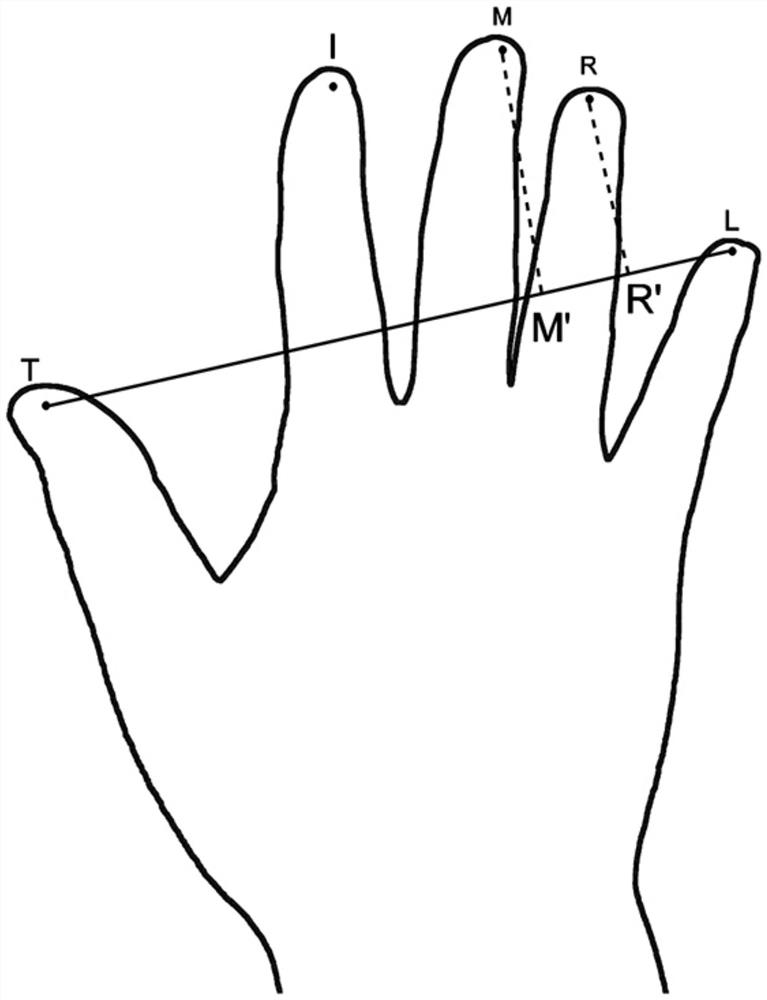 Finger identification algorithm